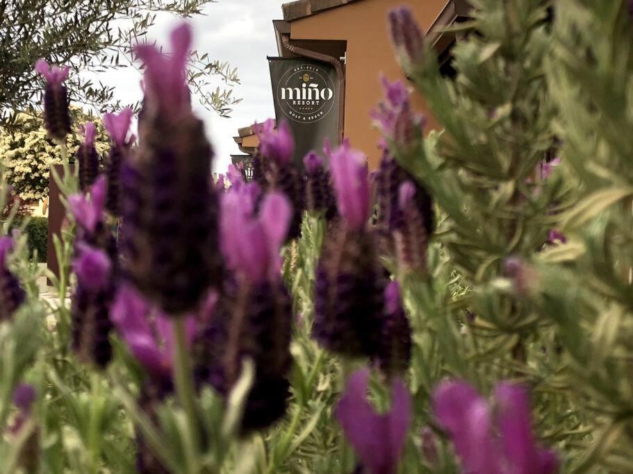 Yuhom, Casas Con Alma. Xacedos 3 Villa Mino Dış mekan fotoğraf